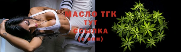 метадон Каменка