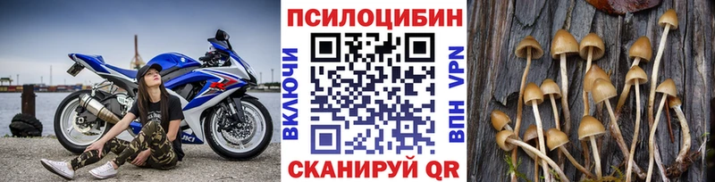Купить закладки  Обнинск  Псилоцибиновые грибы мухоморы 